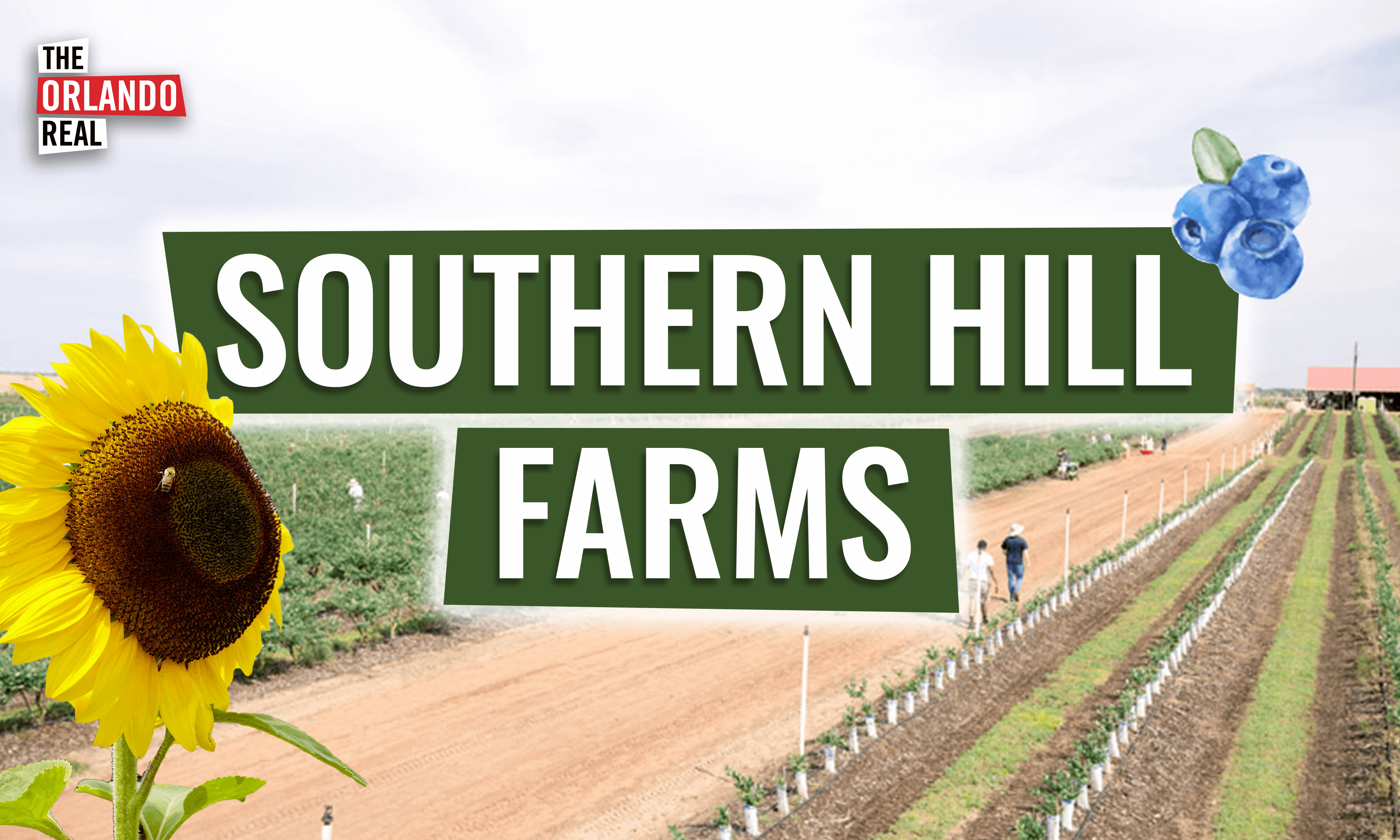 Southern Hill Farms