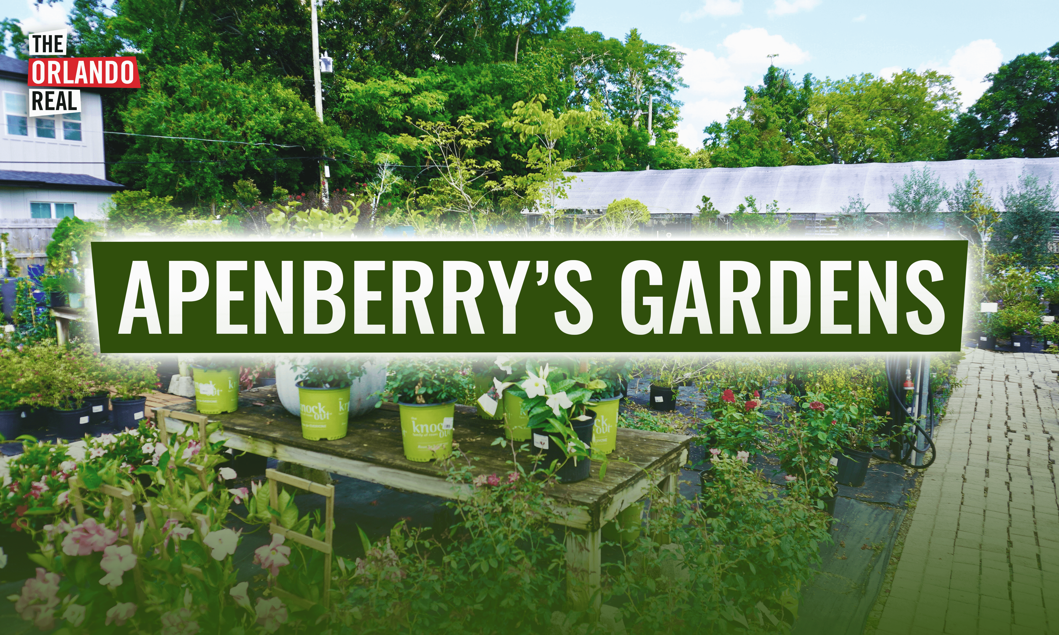 Apenberry’s Gardens